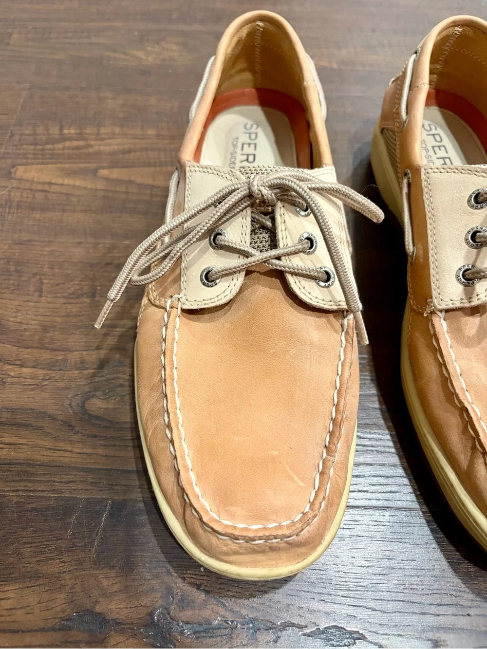 Sperry brand color